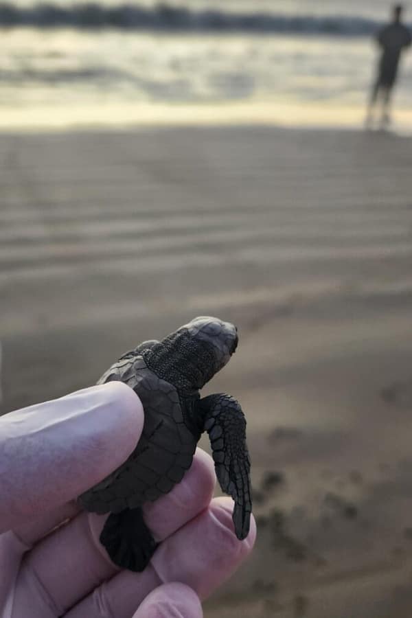 Screenshot 2024-12-20 160008